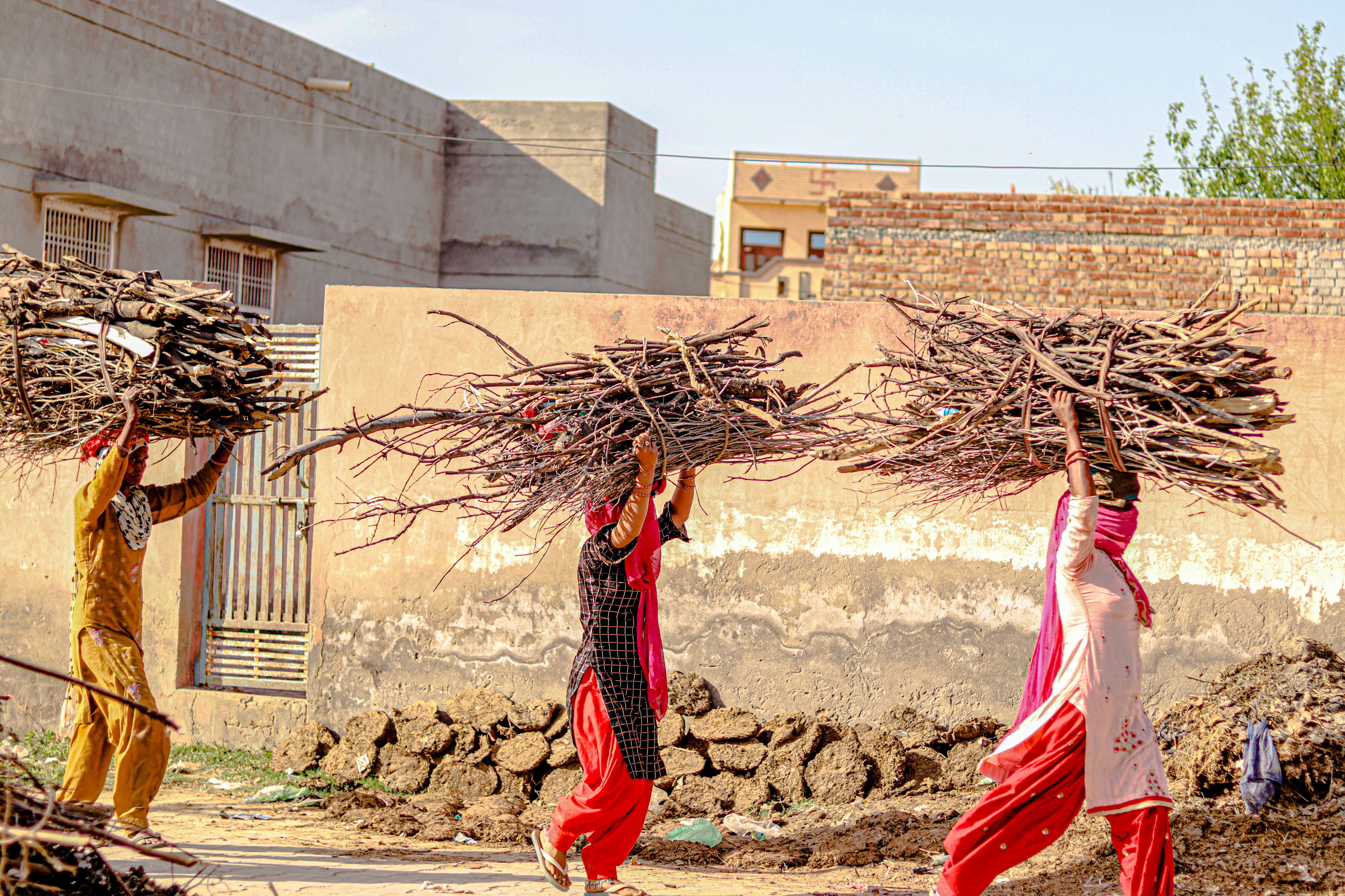 a group of people carrying branches on their heads